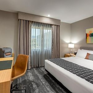 Chambre Standarde Lit King-Size